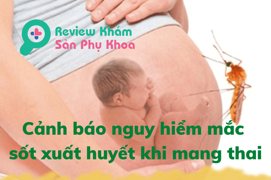Cảnh báo nguy hiểm mắc sốt xuất huyết khi mang thai