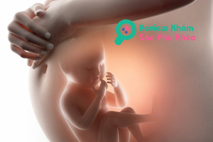 Review sinh con tại Bệnh viện Thu Cúc, có điểm nào nổi bật?