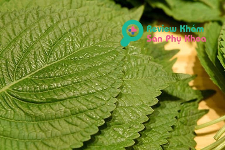 Bầu 3 tháng đầu ăn rau kinh giới được không?