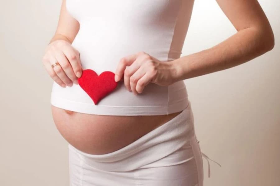 Nhóm chất chống oxy hóa trong hạt é giúp tăng cường hệ miễn dịch của mẹ bầu