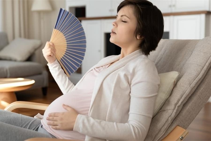 Mẹ bầu giảm tình trạng bốc hỏa bằng nước mát hòa thêm hạt é