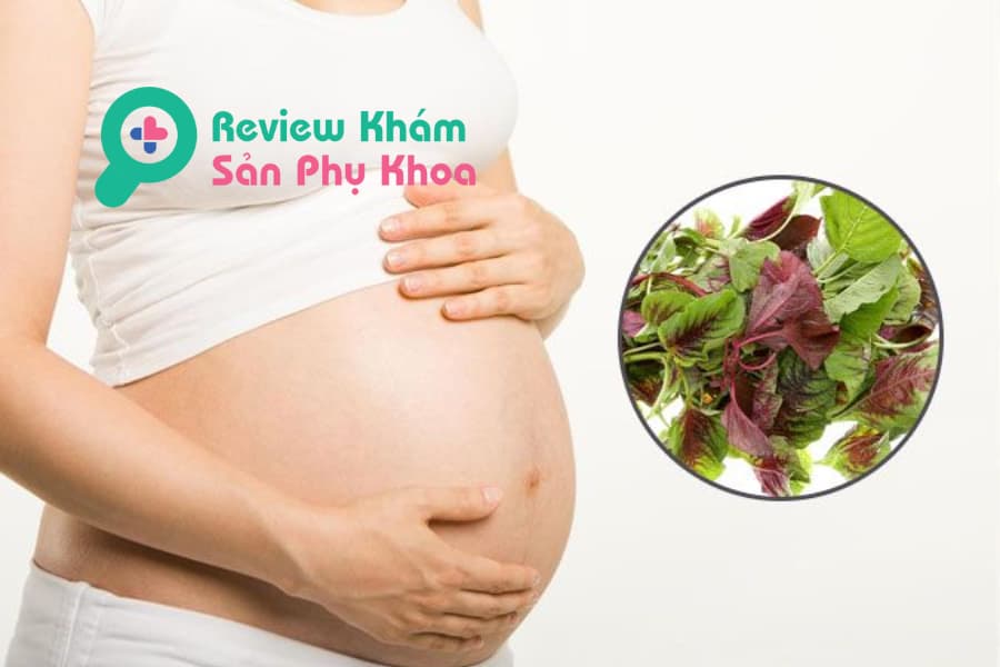 Bầu 3 tháng đầu ăn rau dền được không? 5 điểm cần lưu ý