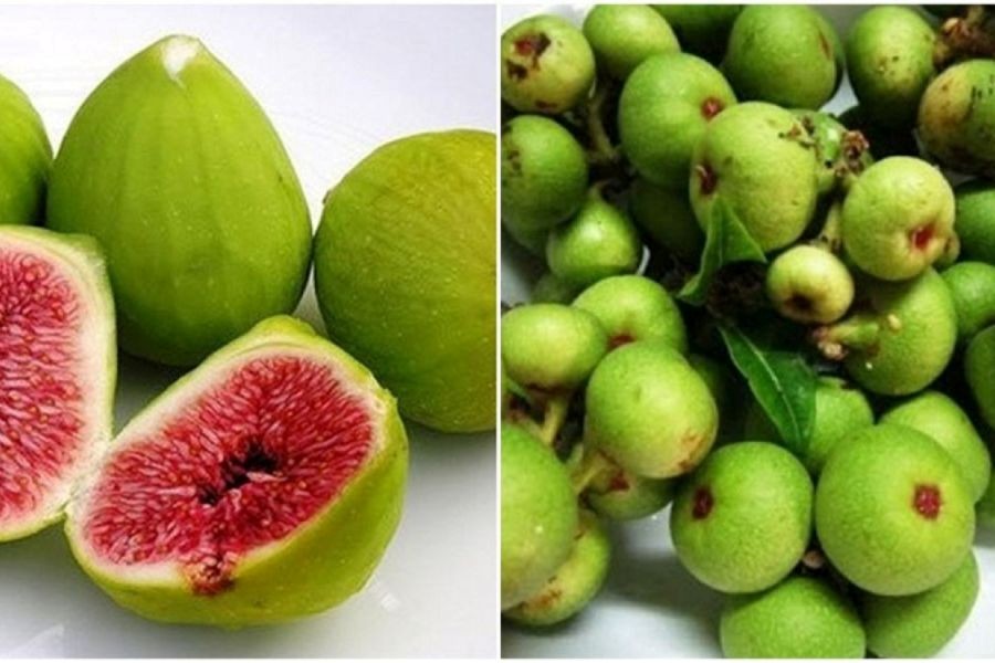 Bầu 3 tháng đầu ăn sung được không?