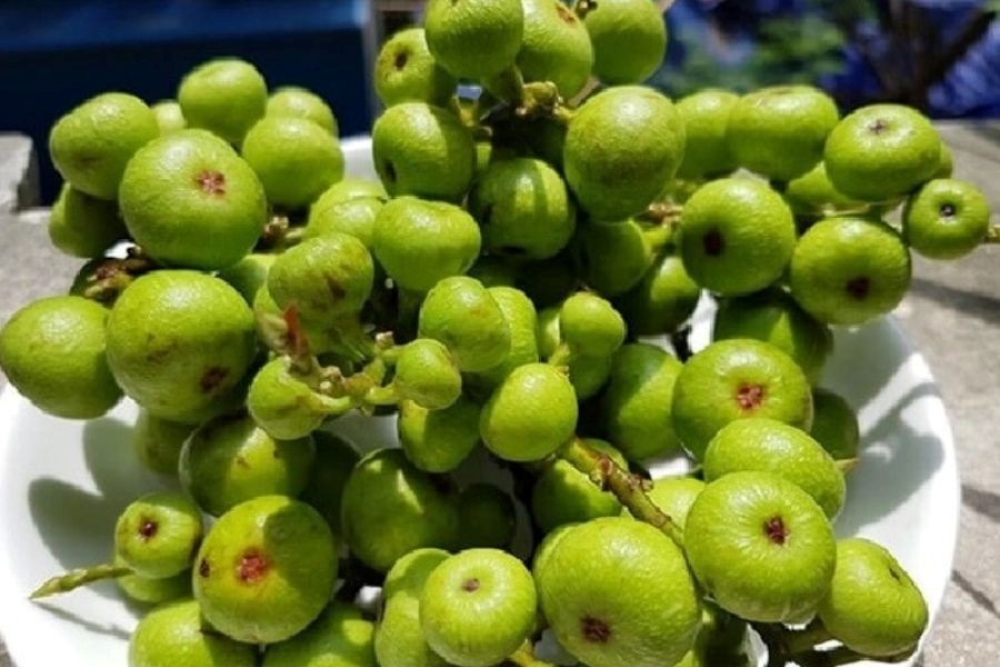 Cách ăn sung tốt nhất là chọn quả sung không chứa thuốc, ăn với lượng vừa đủ