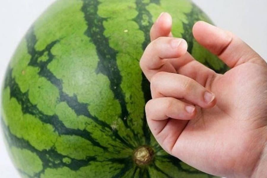 Mẹo lựa chọn dưa hấu ngon, ngọt nhờ vào âm thanh, cuống quả, hình dáng, vỏ dưa,...