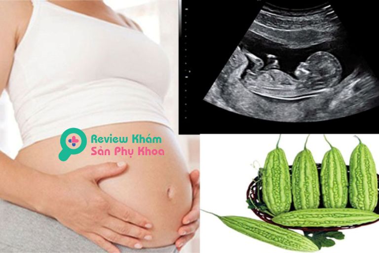 [Tư vấn] Bầu 3 tháng cuối ăn mướp đắng được không?