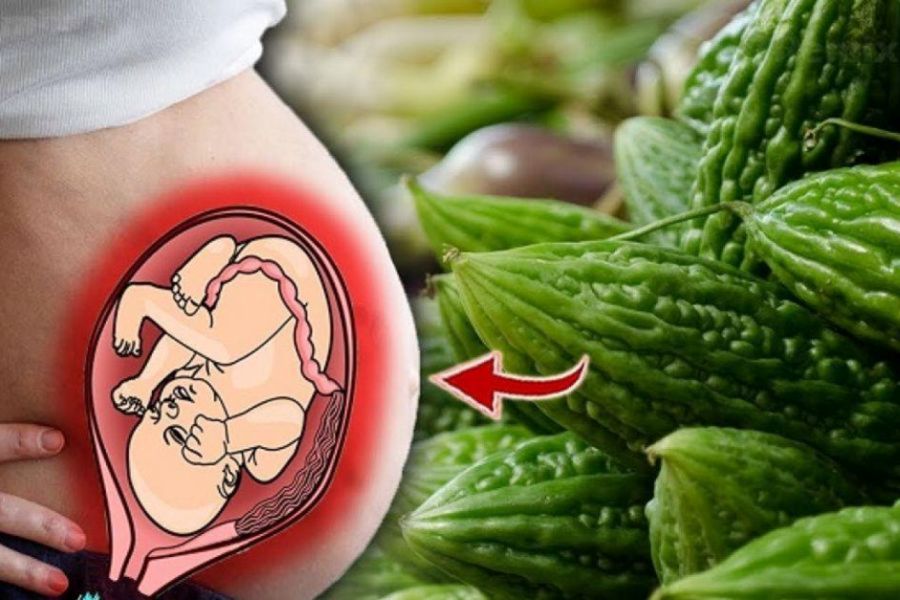 Ăn khổ qua không đúng cách có thể gây dị tật ở thai nhi