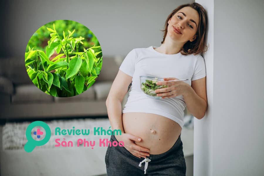 Bầu 3 tháng đầu ăn rau ngót được không?