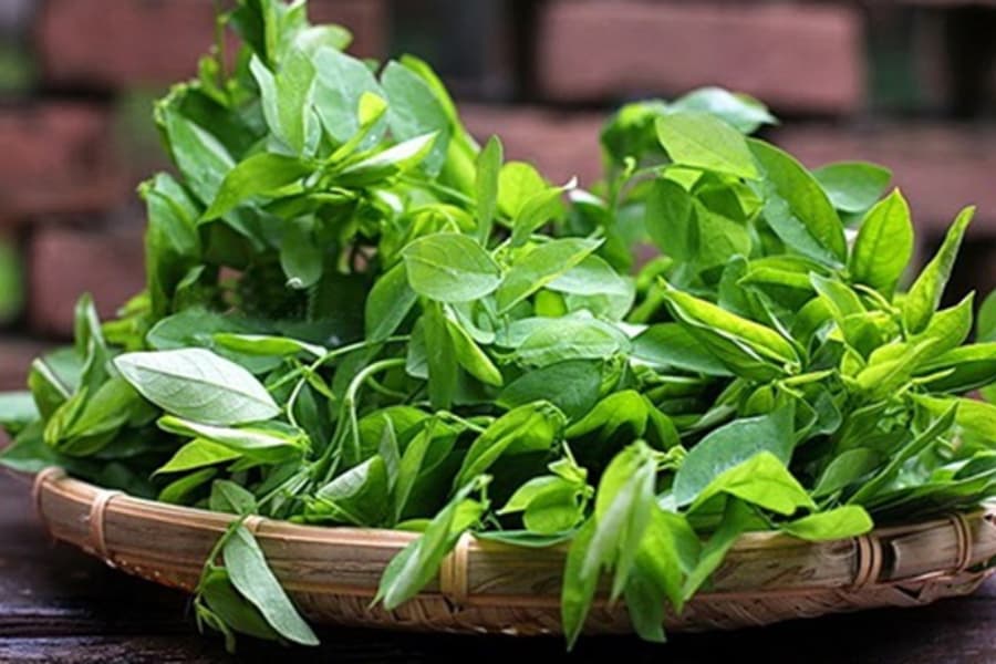 Mẹ bầu cần cân nhắc kỹ càng khi lựa chọn rau ngót hoặc bất kỳ thực phẩm nào vào thực đơn dinh dưỡng