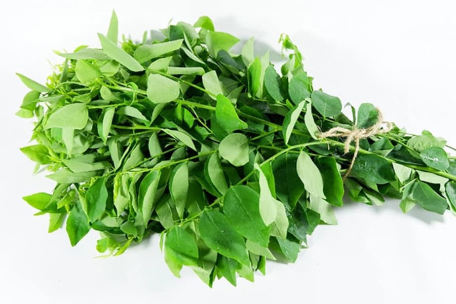 Mẹ cần lưu ý cách ăn rau ngót đúng cách, liều lượng ăn và thời điểm ăn thích hợp trong thai kỳ