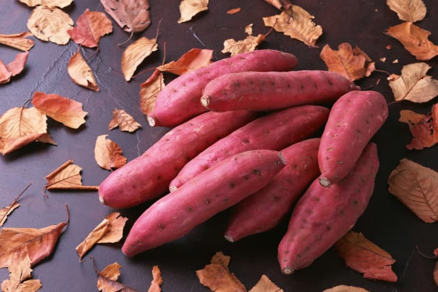 Bà bầu có ăn được khoai lang không?