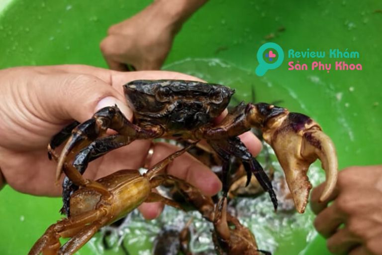 Bầu 3 tháng đầu ăn cua đồng được không