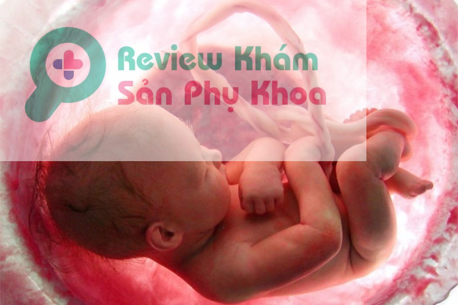 Không có tim thai ở tuần thứ 8 có gây nguy hiểm không?