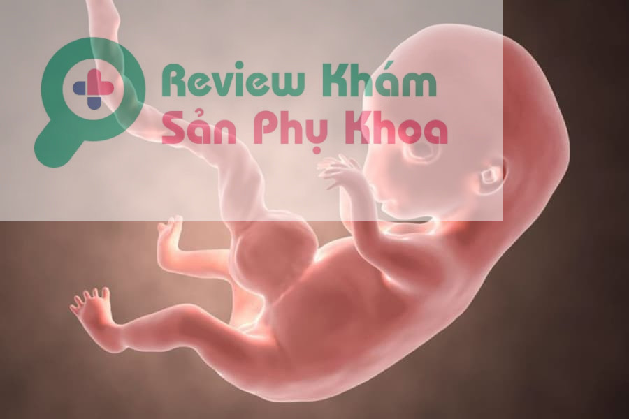 Khi gặp phải những dấu hiệu thai ngoài tử cung tự tiêu, mẹ bầu nên đến ngay các cơ sở y tế để thăm khám và có những giải pháp kịp thời nhất