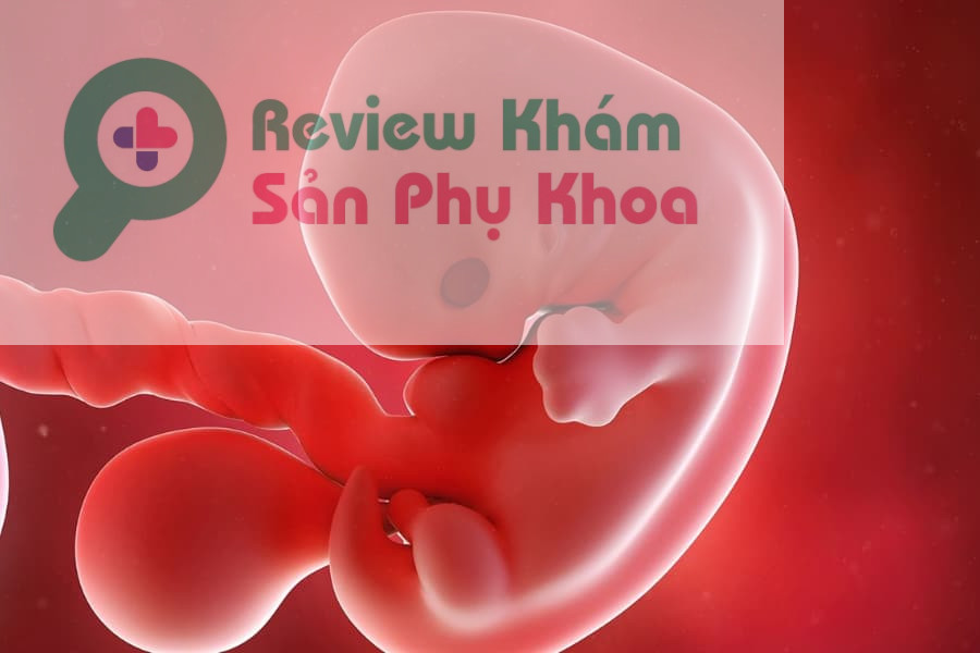 Liệu thai 7 tuần có tim thai chưa?