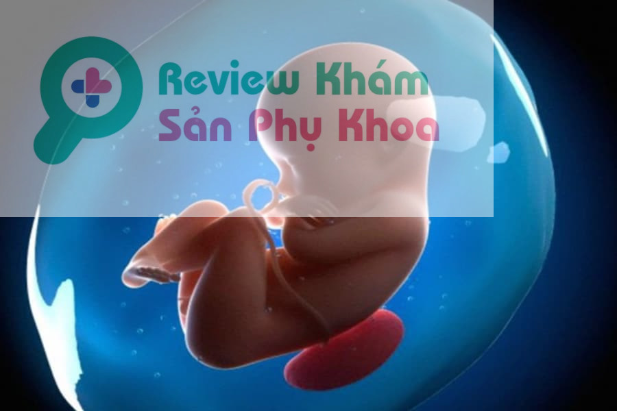 Một số nguyên nhân thai 7 tuần chưa có tim thai: tính sai tuổi thai, sảy thai, phương pháp siêu âm thai,...