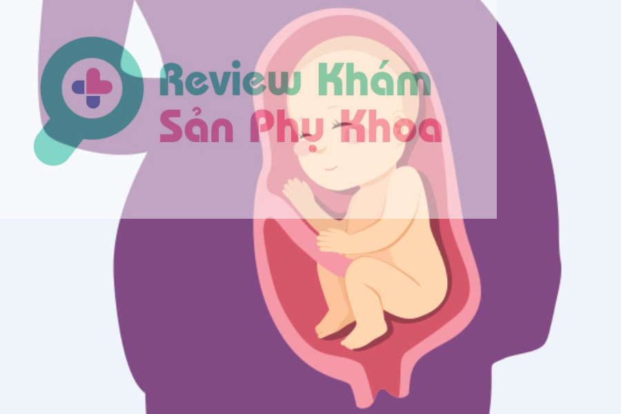 Mấy tuần thai vào tử cung? Giải đáp thắc mắc cho mẹ bầu