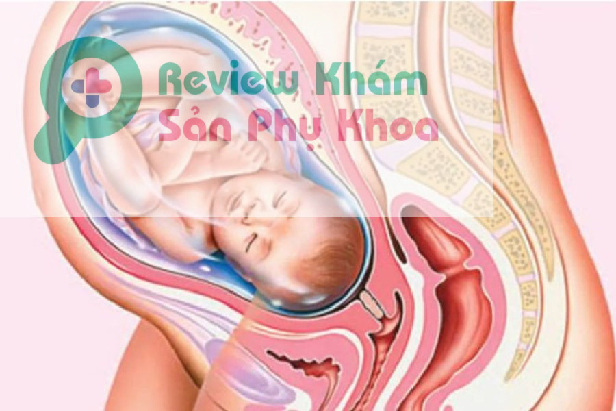 Thai 39 tuần có nên đi siêu âm?