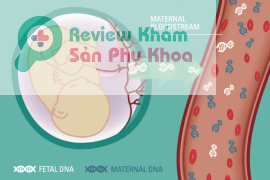 Bệnh viện Đa khoa Bảo Sơn thực hiện xét nghiệm NIPT với độ chính xác cao và thời gian trả kết quả nhanh chóng