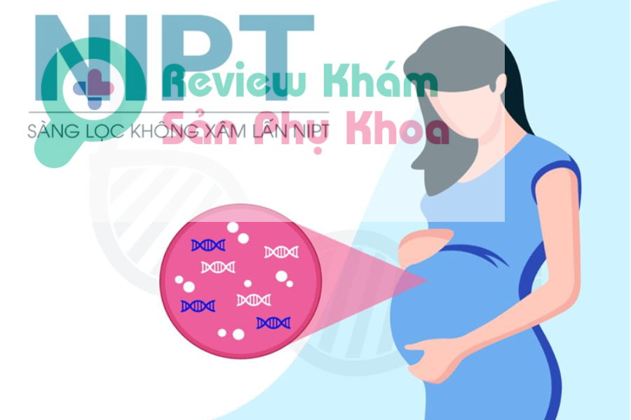 Xét nghiệm NIPT biết được những gì?