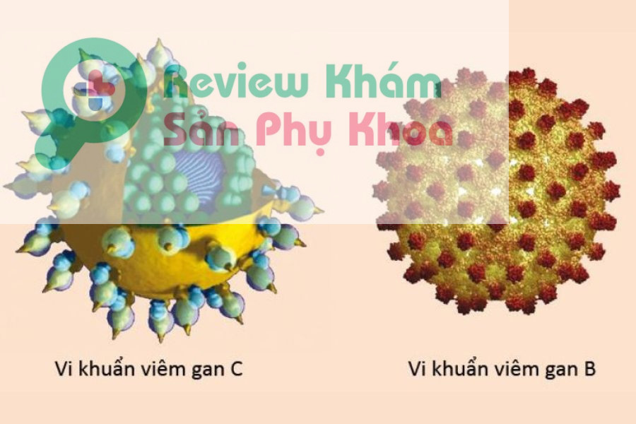 quan hệ bằng miệng có thể gây bệnh gì