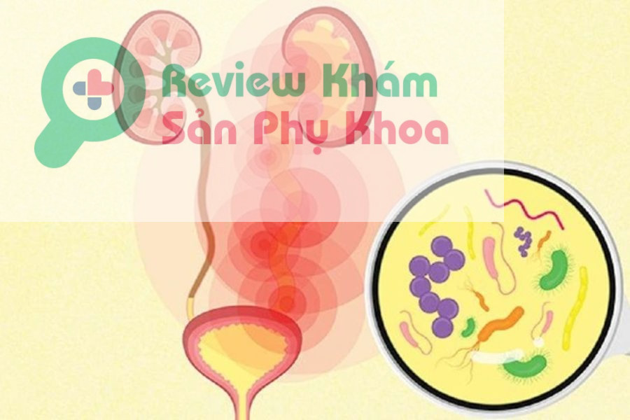 Sau khi quan hệ bị rát khi đi tiểu