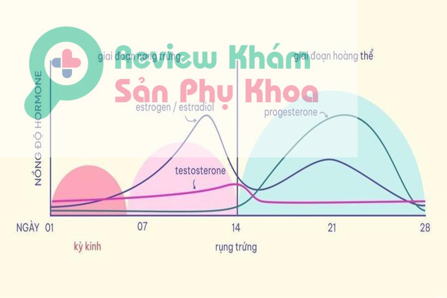quan hệ vào thời điểm nào dễ mang thai nhất